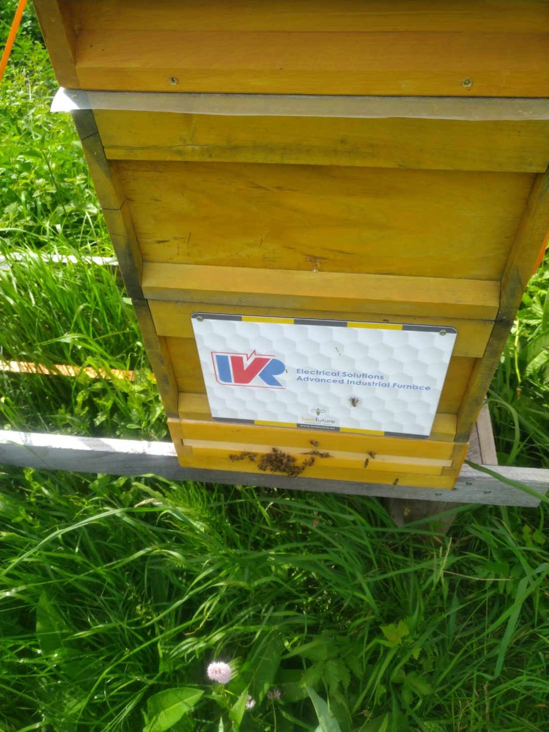 Environmental Protection, our BEE HOUSE